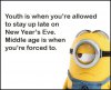 226529-Funny-Happy-New-Years-Eve-Minion-Quote.jpg