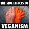 Veganism.jpg