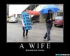 Beer-Carrying-Wife-Funny-Beer.jpg
