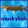 muskybob