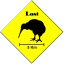 LostKiwi2.jpg