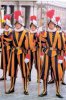 swiss guard.jpg
