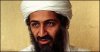 FL_binladen_090504.jpg