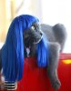 cosplay-kitty-wigs-01.jpg