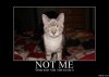 Funny_Pictures_65913.jpg