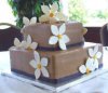 Two tier chocolate cake with faux white flowers.JPG