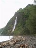 pololu (Small).jpg