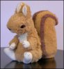 _40700060_squirrel203ok.jpg