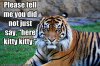 funny-pictures-tiger-does-not-appreciate-being-called-kitty.jpg