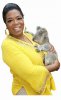 oprah-koala.jpg
