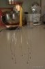 Head Massager.jpg