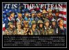 its-the-veteran-1024x737.jpg