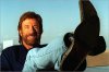ChuckNorris3.jpg