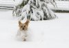 DSC_3377a.jpg