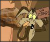 032011_wile_e_coyote_in_127_hours_t.jpg