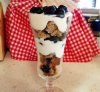 blueberry lemon parfait.jpg