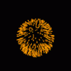 anim-fireworks1.gif