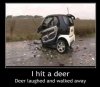 Funny-Car-Pictures-with-Captions-26.jpg