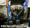 Tiger.png