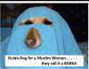 Barka.jpg