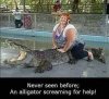 Alligator.jpg