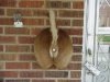 DeerbuttDoorbell.jpg