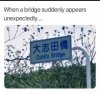 bridge.jpg