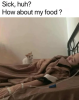 sick eh.png