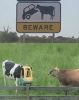 beware.png