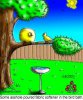 bird bath.jpg