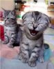 Laugh often.jpg