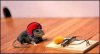 mousetrap.jpg