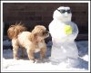 snowman.jpg