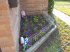 FlowerBed001.JPG
