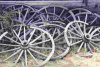wagonwheels[1].jpg