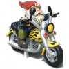 biker%20gnome.jpg