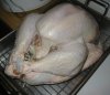 turkey-raw.jpg