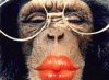 MonkeyLips.gif