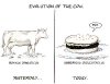 Evo of a cow.jpg