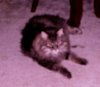 100_0174.JPG