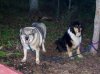 100_0179.JPG