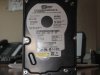WD 160Gb.jpg