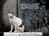 DSC00032-1.jpg