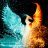 DarkPhoenixM