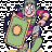 scipiotheelder